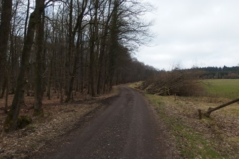 Schwarzer_Weg_3